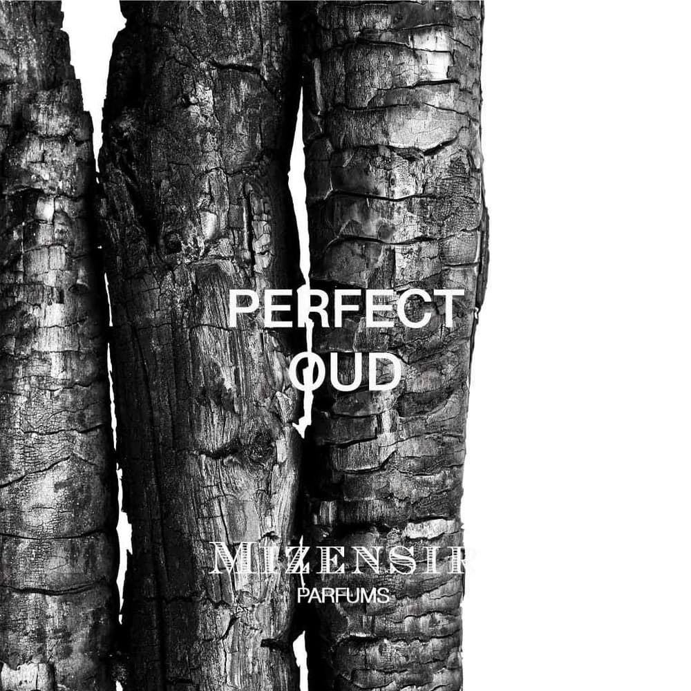 Mizensir Perfect Oud – foto 3
