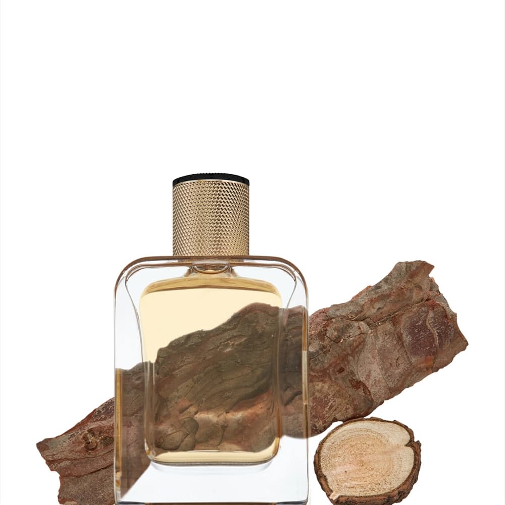 Veronique Gabai Oud Elixir – foto 2