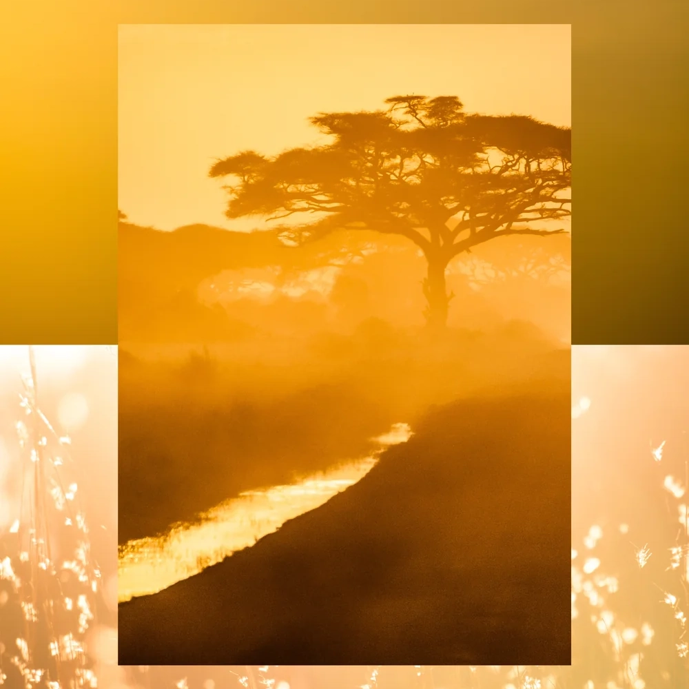 Aqualis Kruger Parfum thumbnail 2